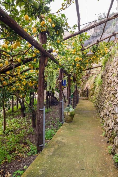 ミノーリ #La Limonaia Della Torrettaヴィラ エクステリア 写真