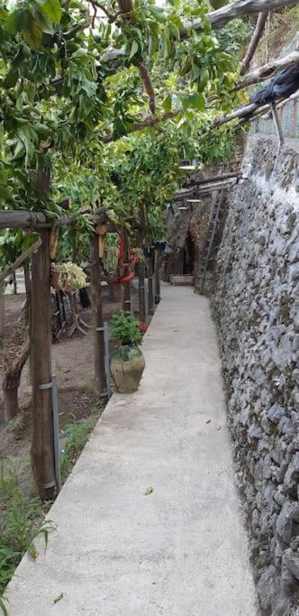 ミノーリ #La Limonaia Della Torrettaヴィラ エクステリア 写真