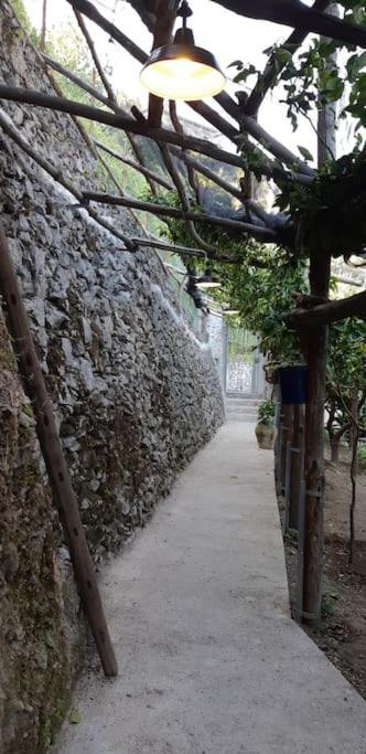 ミノーリ #La Limonaia Della Torrettaヴィラ エクステリア 写真