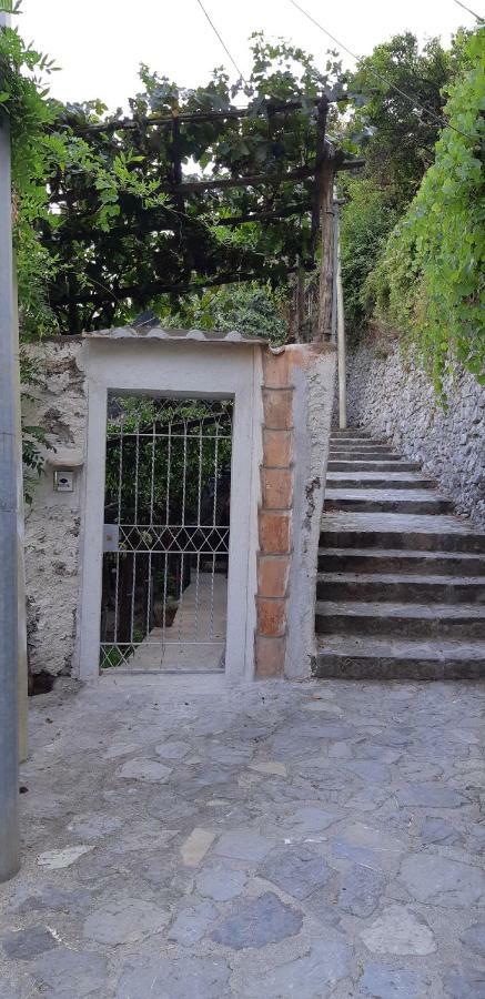 ミノーリ #La Limonaia Della Torrettaヴィラ エクステリア 写真