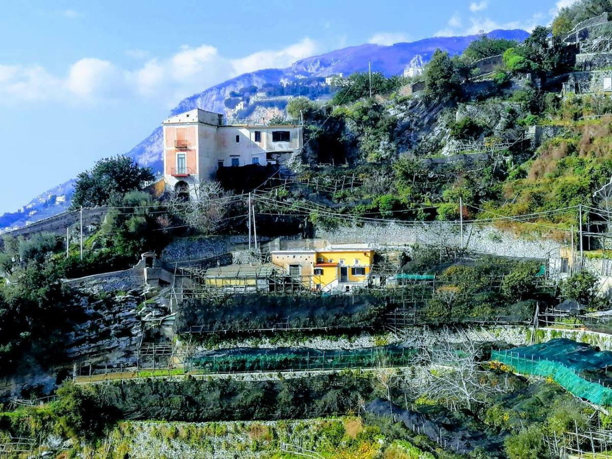 ミノーリ #La Limonaia Della Torrettaヴィラ エクステリア 写真