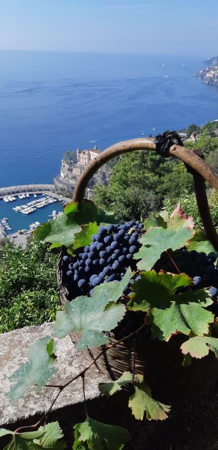 ミノーリ #La Limonaia Della Torrettaヴィラ エクステリア 写真